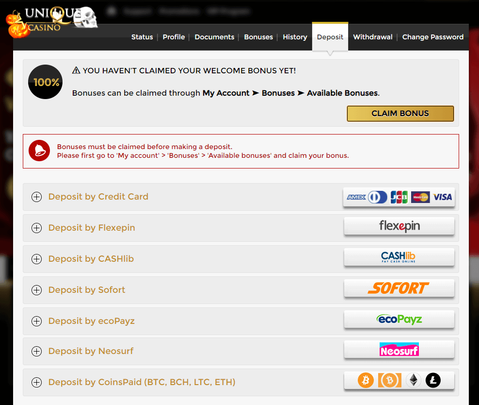Payment Options at Ace Pokies Casino